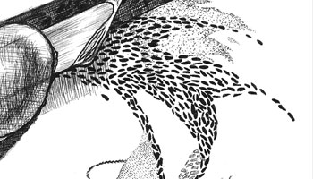 The garden is a very old story, easily told with symbols (a very old language).